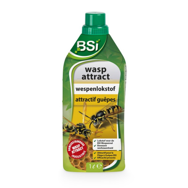 Attractif guêpes Wasp Attract