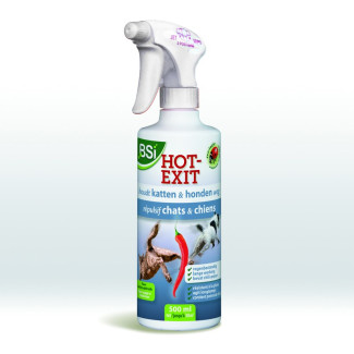 Hot Exit 500?ml
