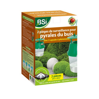 2 pièges à phéromones buis