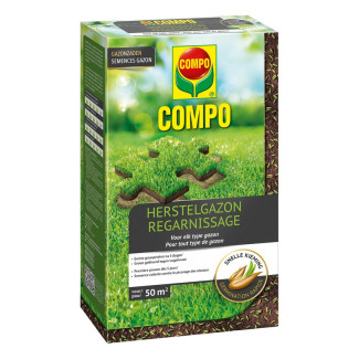 Semence gazon regarnissage 1 kg
