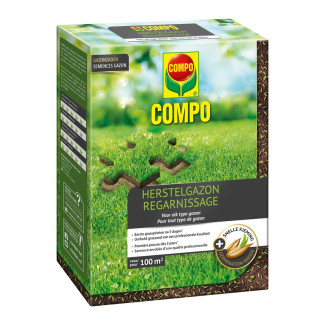 Semence gazon regarnissage 2 kg