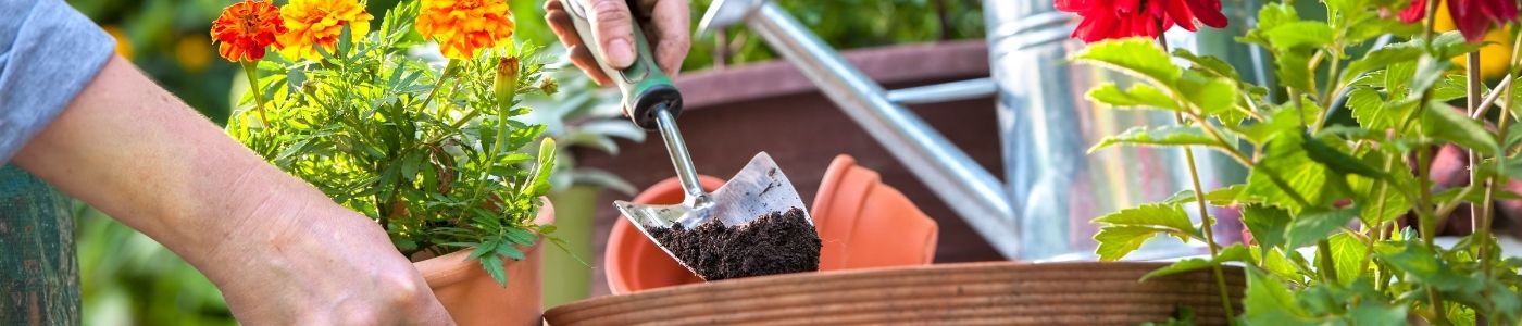 tout pour l'entretien du jardin - outils, terreau, semis, pelouse chez Fontaine-Beauvois