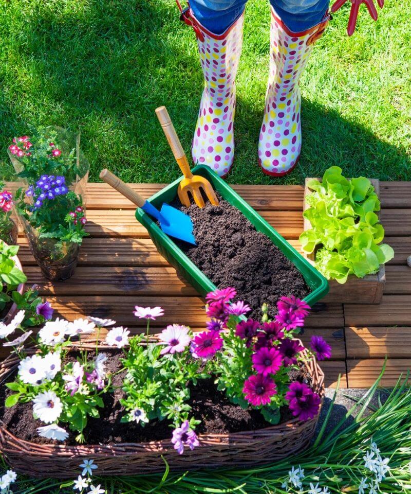 FAQ - Jardinage Fontaine-Baauvois faq_jardinage_fontaine-beauvois