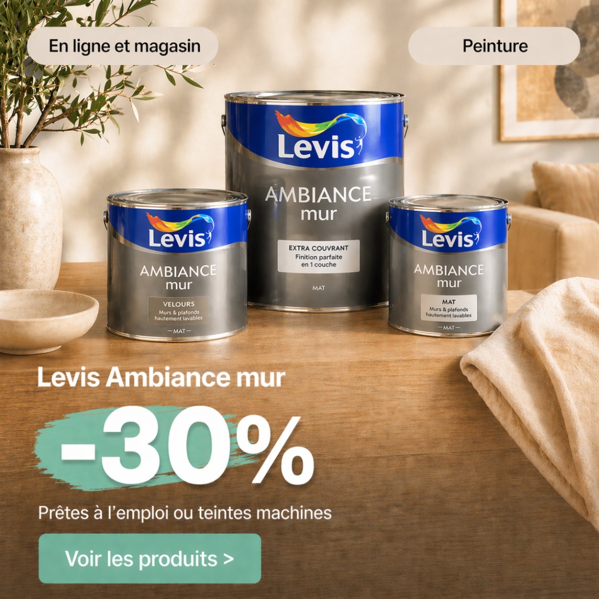 Promo exclusive peinture en ligne Levis chez Fontaine-Beauvois